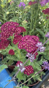 Egy kis szünet után…