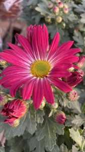 Október 23-án is nyitva vagyunk!